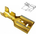 SF1D - DİŞİ TERMİNAL